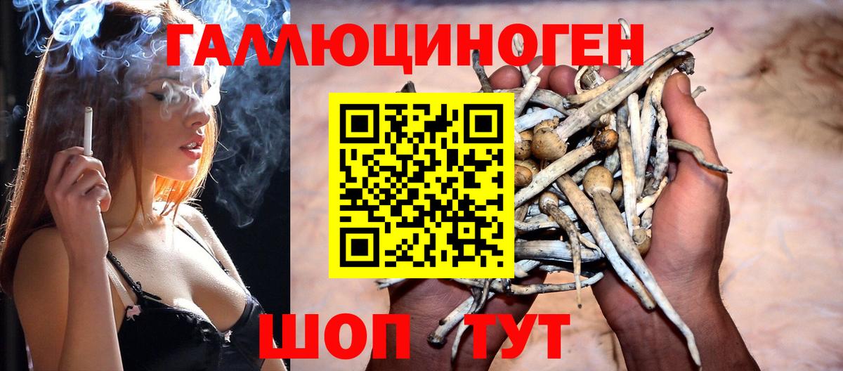 Псилоцибиновые грибы ЛСД  Галлюциногенные грибы Magic Shrooms  Вход с VPN  Алексин 